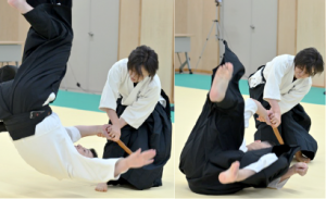 lesson_aikido