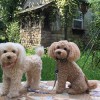 needlefelting_lesson