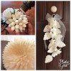 solaflower_lesson01